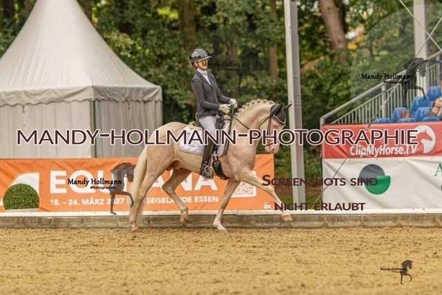 28-8-26 5j DRE-940 | mandyhollmannphotographie