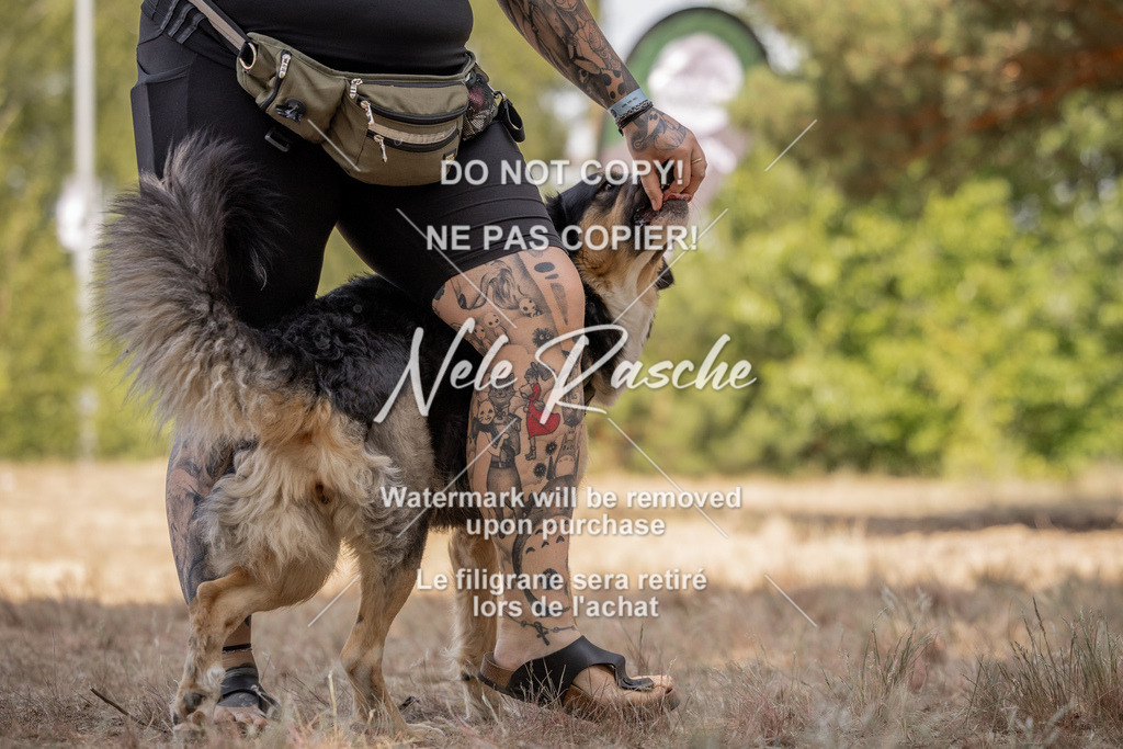 nelerasche_soDD2_247 | nelerasche