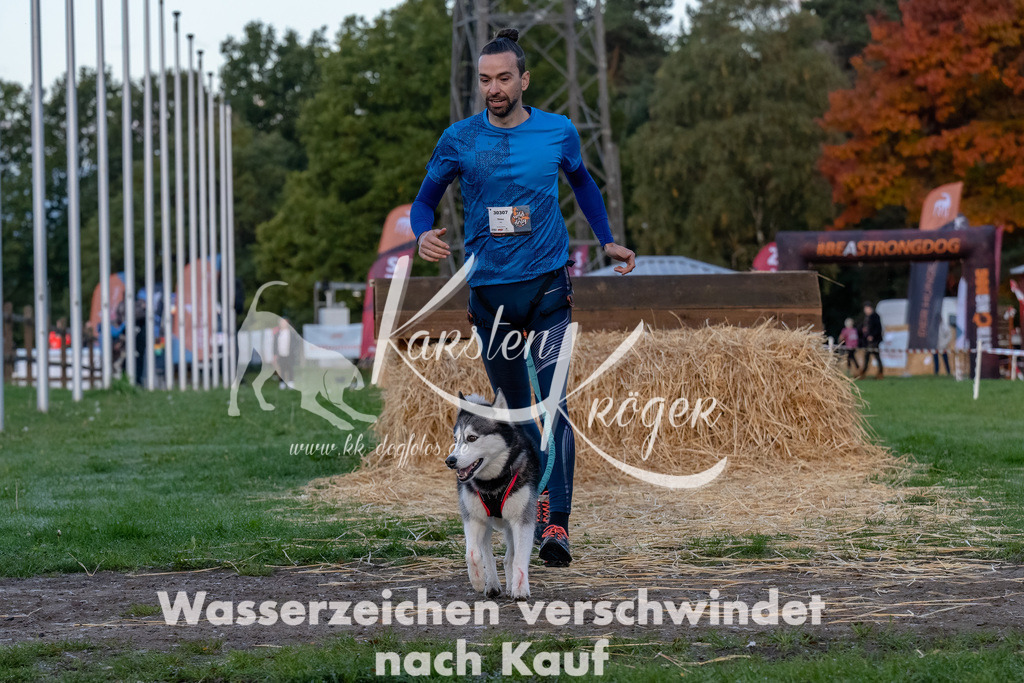 0808_ZZ94495-Bearbeitet | kk-dogfotos