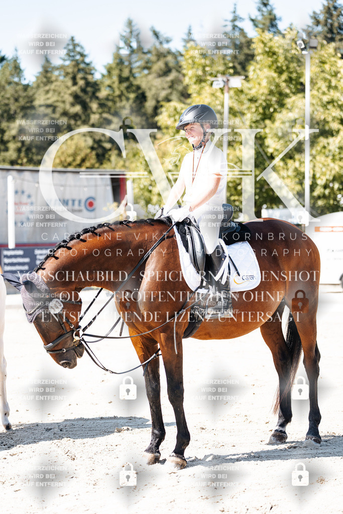 CK902640 | Turnierfotografie Pferdefotografie Trier Rheinland-Pfalz Pferdesport Reitsport Tierfotografie Sportfotografie Pferdevideo Pferdevideografie Equestrianvideography equestrianphotography  - Realisiert mit Pictrs.com