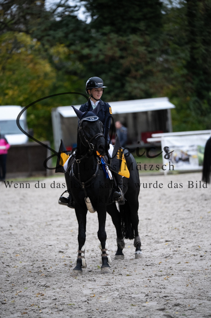 A7V08911 | Turnier/Reitfotograf