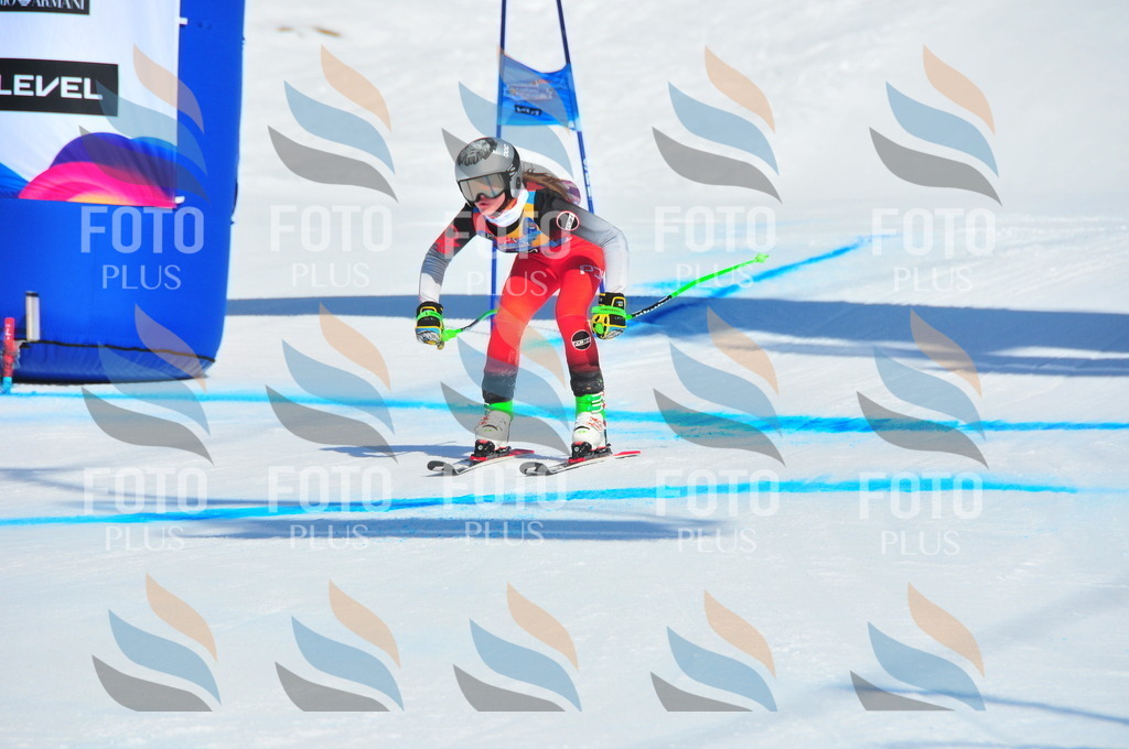 DSC_4344 | holidayphoto