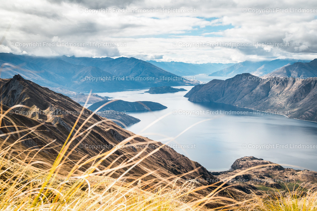 Neuseeland-1429 | Fotos und Fotoprodukte - Realisiert mit Pictrs.com