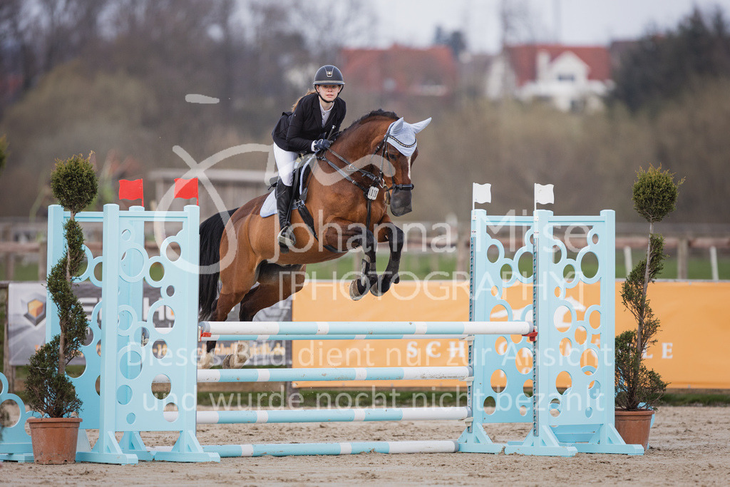 230406_Frühlingsfest_A-Stil2-228 | Deine schönsten Turniermomente als professionelle Fotos! Entdecke hochwertige Pferdesport-Fotografie im Online-Shop. Jetzt Fotos finden & bestellen!