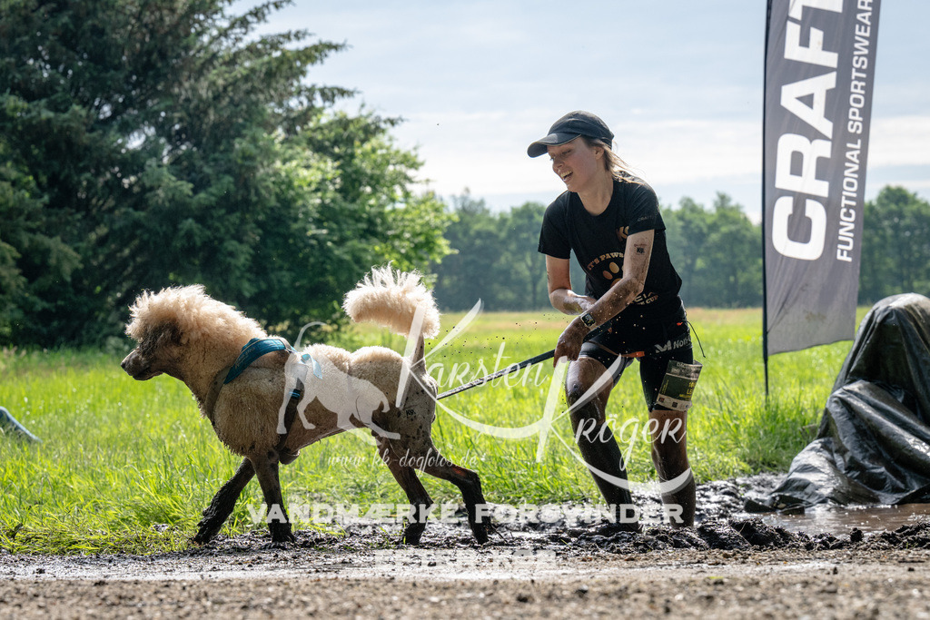 0913_ZZ90469 | kk-dogfotos