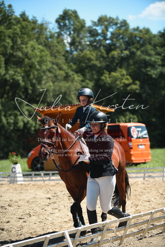 DSC_2068 | Pferde- und Turnierfotografie in Westsachsen. Pferdeportraits, Auftragszeichnungen und intuitive Kunst.