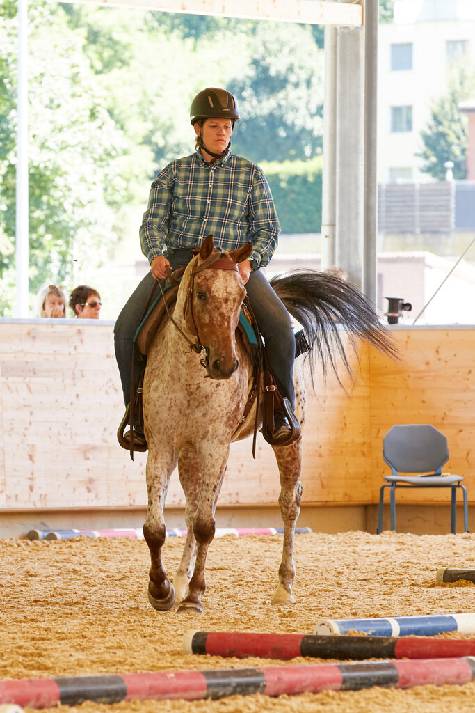 2020_07_19 Schweizersbild 100 | Peter Fridle Fotografie - Realisiert mit Pictrs.com