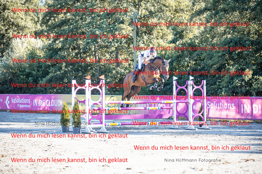 BK1A6122 | Turnierbilder Turnierfotos Nina Hüffmann Turnierfotografie Pferdefotografie Tierzeichnung Haustierzeichnung Pferdezeichnung Hundezeichnung Videograf  - Realisiert mit Pictrs.com