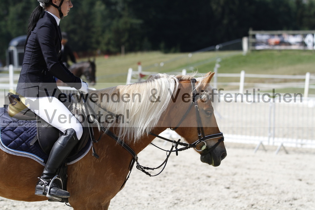 _MG_3504 | equestrian-live-com