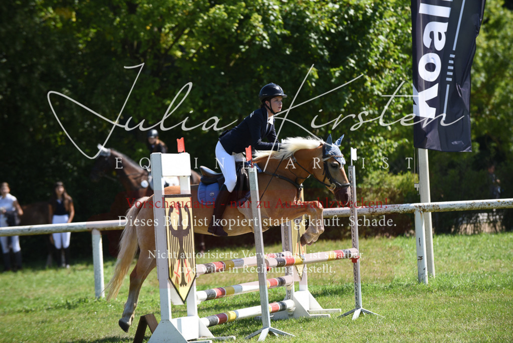 DSC_9629 | Pferde- und Turnierfotografie in Westsachsen. Pferdeportraits, Auftragszeichnungen und intuitive Kunst.