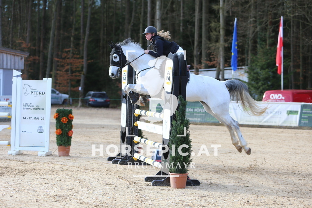 DL2Q3534 | Willkommen bei Brunnmayr - Design & Fotografie – Ihrem Spezialisten für Reitturniere und Pferdeveranstaltungen in Oberösterreich, Salzburg und Bayern! Seit über 17 Jahren sind wir leidenschaftlich dabei.