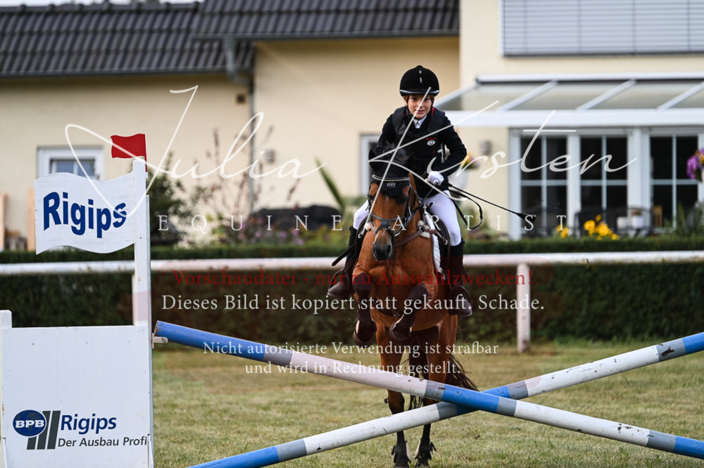 DSC_5560 | Pferde- und Turnierfotografie in Westsachsen. Pferdeportraits, Auftragszeichnungen und intuitive Kunst.