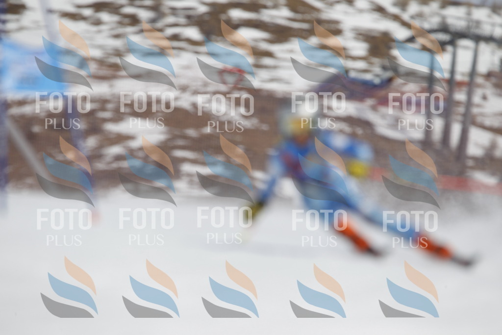 _U3G2497 | holidayphoto