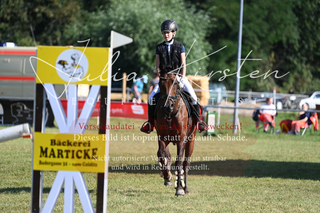 DSC_5222 | Pferde- und Turnierfotografie in Westsachsen. Pferdeportraits, Auftragszeichnungen und intuitive Kunst.
