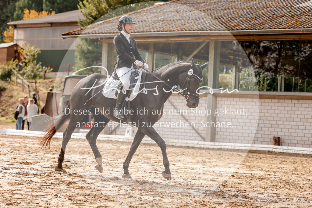 3I6A7207 | Stimmungsvolle Portraits und Reitsportfotografie im Ruhrgebiet und im Münsterland.

Pferdefotografie, Hundefotografie, Tierfotografie, Reportagen, Portraits von Tier und Mensch, Turnierfotografie in Bochum, Recklinghausen, Marl, Haltern am See, Dülmen.. - Realisiert mit Pictrs.com