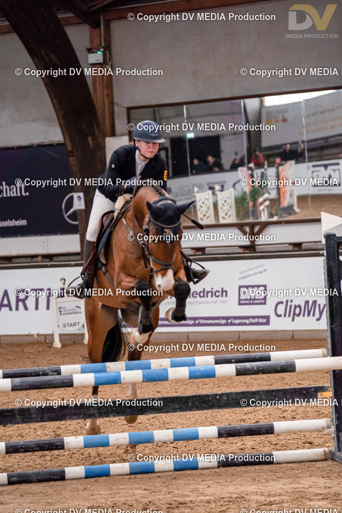 Kranichstein II Tag 1-252 | dv-media-shop - Realisiert mit Pictrs.com