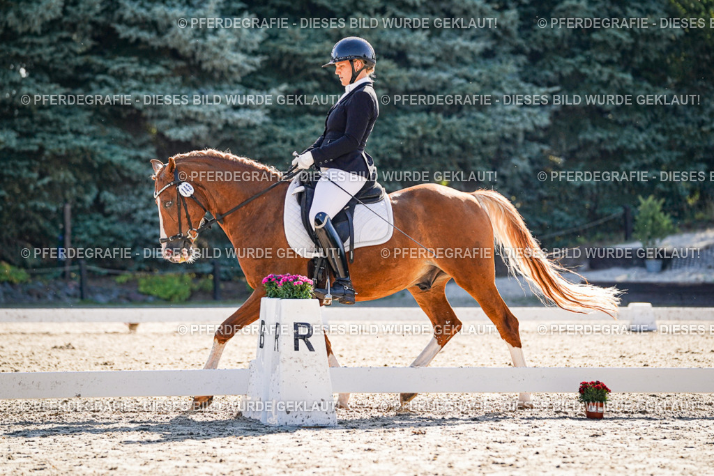 DSC09931 | Pferdegrafie