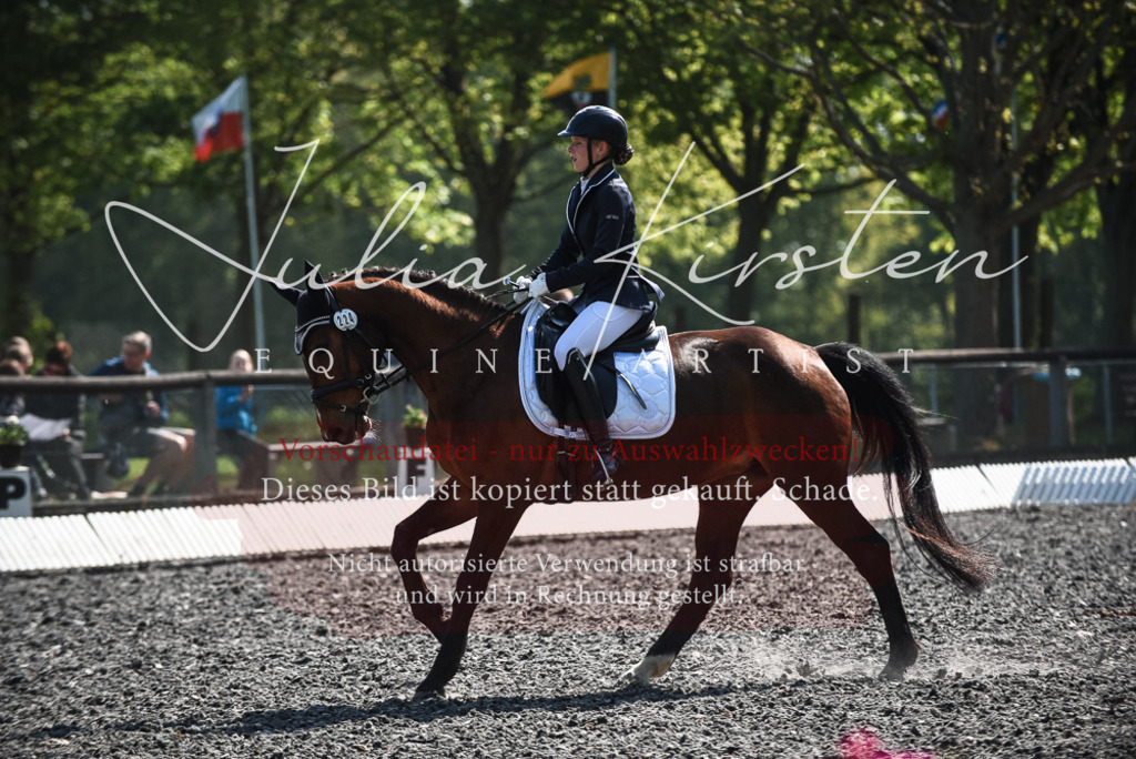 DSC_8907 | Pferde- und Turnierfotografie in Westsachsen. Pferdeportraits, Auftragszeichnungen und intuitive Kunst.