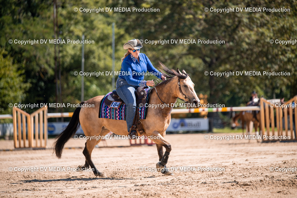 ZS1_0987 | dv-media-shop - Realisiert mit Pictrs.com