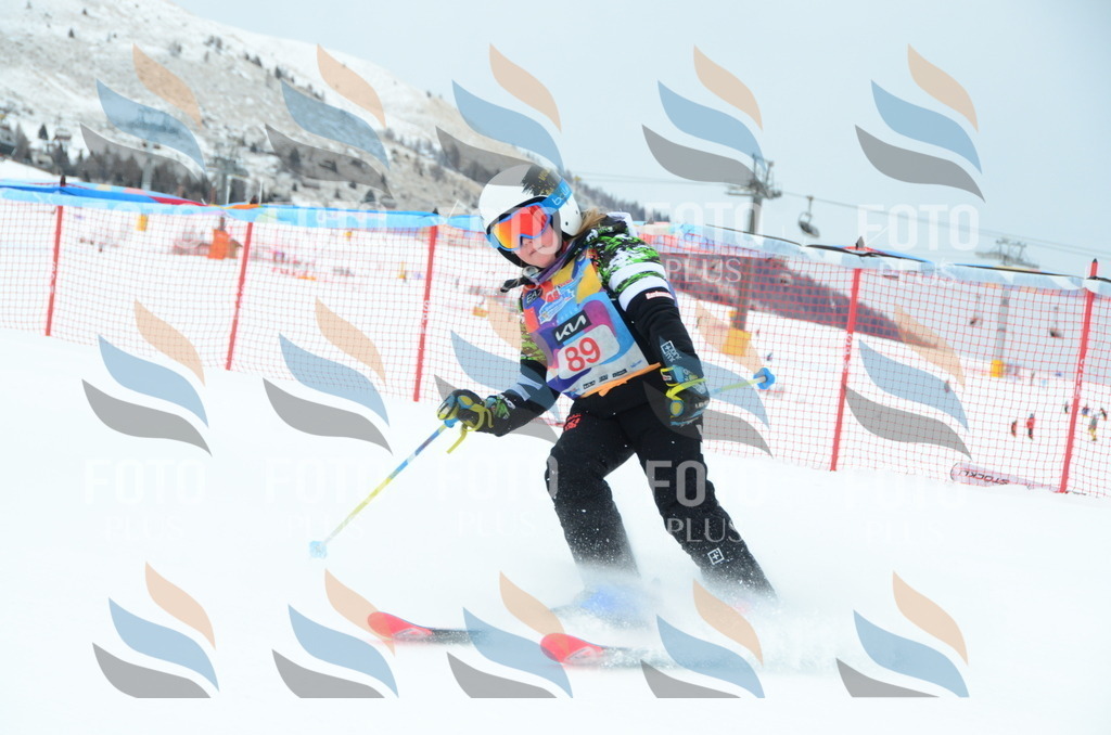 DSC_1157 | holidayphoto