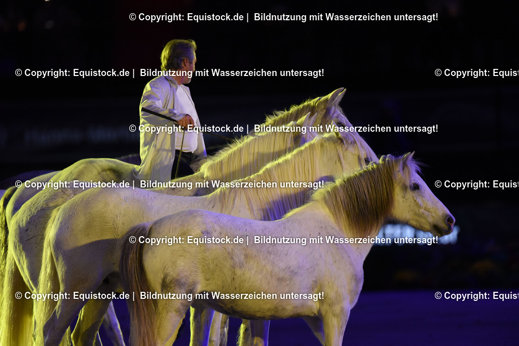 20231115_Show-Jean-Francois-Pignon_0032_TOMsPiC | Foto: Thomas Hartig