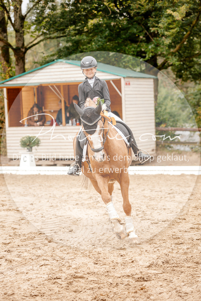 3I6A6059 | Stimmungsvolle Portraits und Reitsportfotografie im Ruhrgebiet und im Münsterland.

Pferdefotografie, Hundefotografie, Tierfotografie, Reportagen, Portraits von Tier und Mensch, Turnierfotografie in Bochum, Recklinghausen, Marl, Haltern am See, Dülmen.. - Realisiert mit Pictrs.com