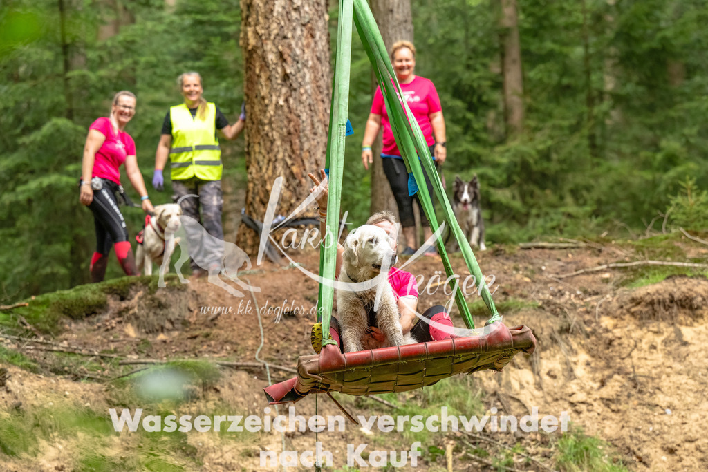 1337_ZZ93475-Bearbeitet | kk-dogfotos