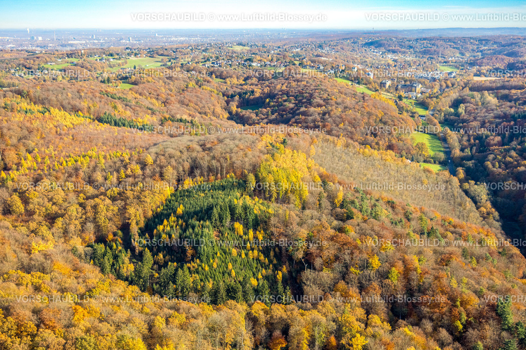 Herdecke251104357 | Luftbild, Hügellandschaft Mischwald im Herbst, Ardeygebirge Witten-Gedern, herbstliche Bäume, Westende, Herdecke, Ruhrgebiet, Nordrhein-Westfalen, Deutschland