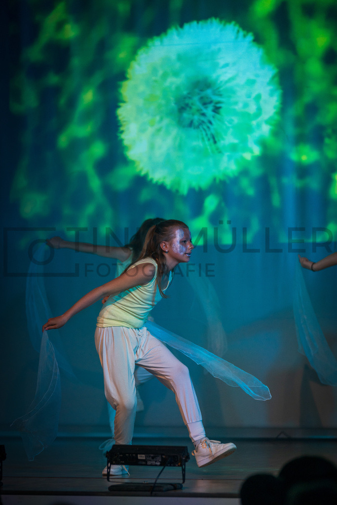 _DSC2231 | Tinu Müller Fotografie- Bildershop - Realisiert mit Pictrs.com