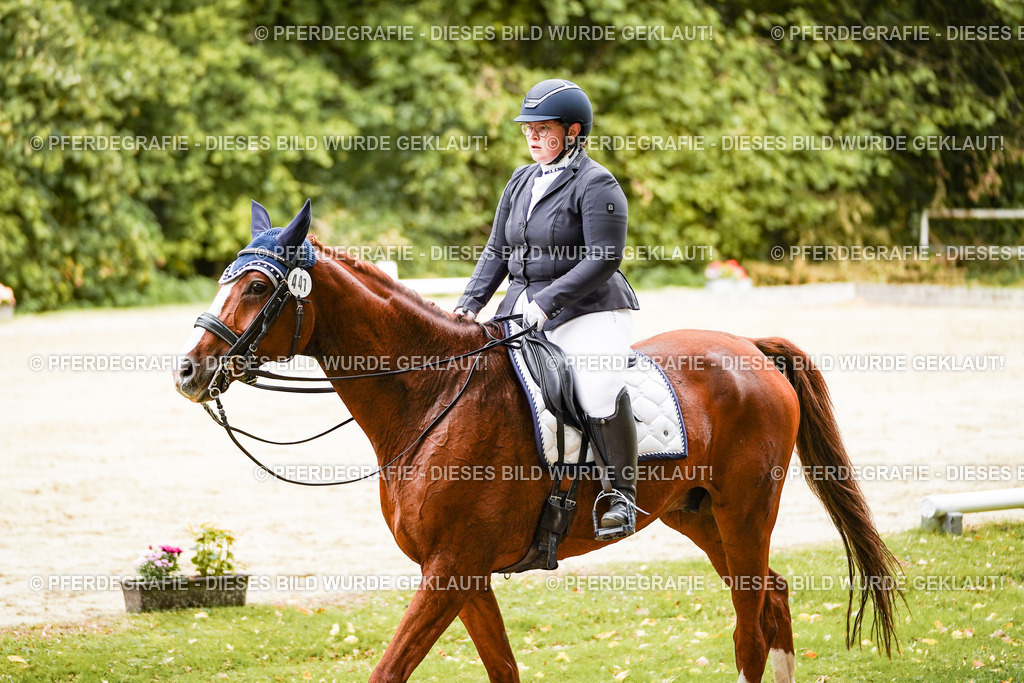 DSC03356 | Pferdegrafie