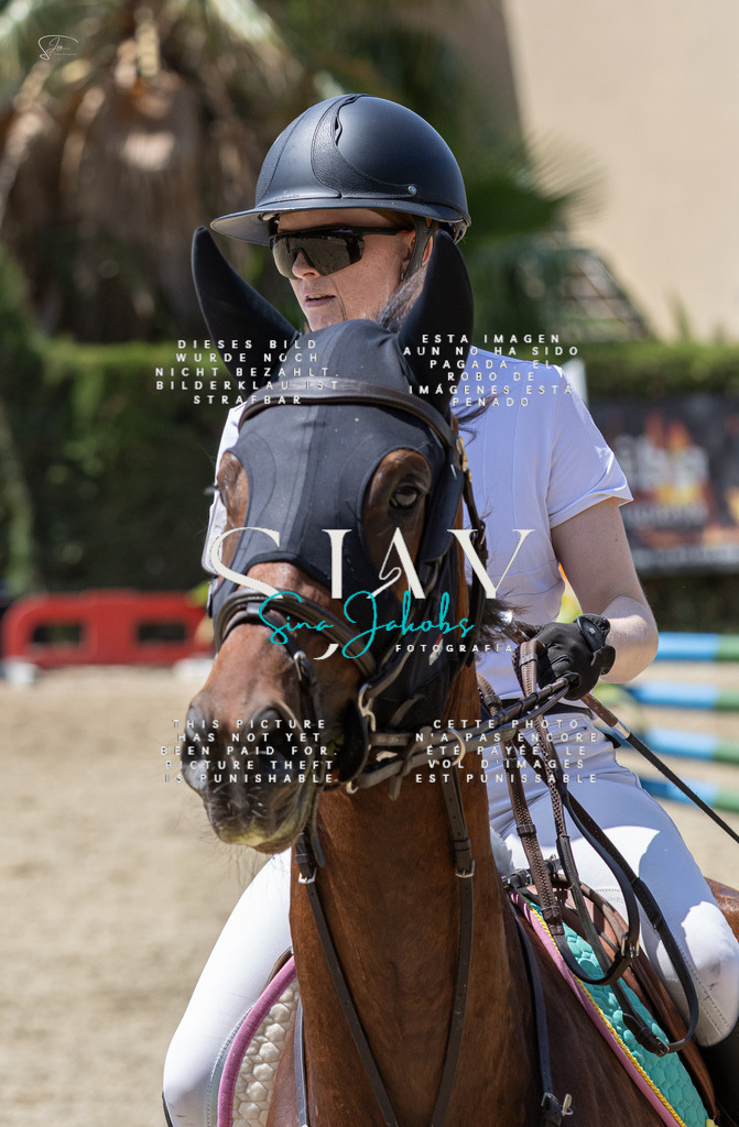 IMG_0647 | s-jay-photography - Realisiert mit Pictrs.com