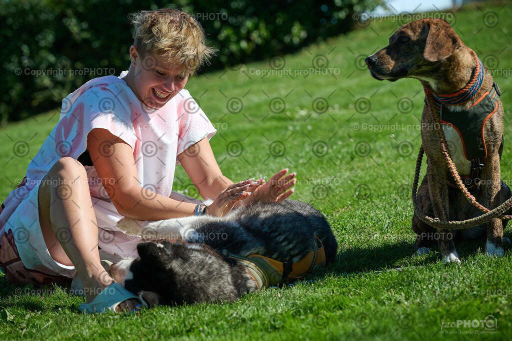 046_202509_4Hundebadetag_NZ9_2218 | proPHOTO - Realisiert mit Pictrs.com