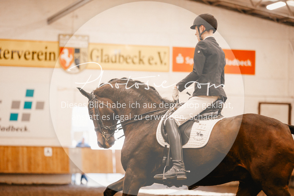 3I6A2241 | Stimmungsvolle Portraits und Reitsportfotografie im Ruhrgebiet und im Münsterland.

Pferdefotografie, Hundefotografie, Tierfotografie, Reportagen, Portraits von Tier und Mensch, Turnierfotografie in Bochum, Recklinghausen, Marl, Haltern am See, Dülmen.. - Realisiert mit Pictrs.com