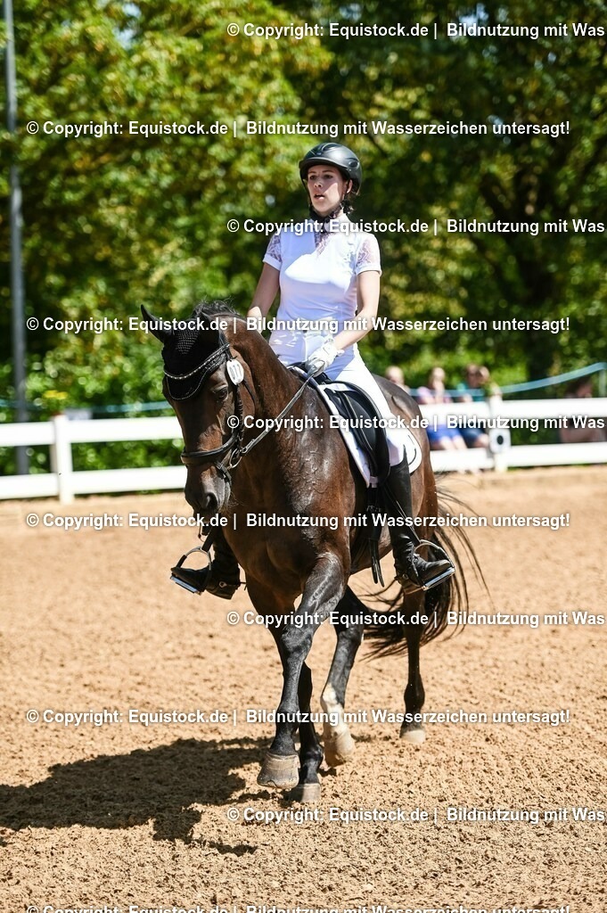 20230715_02_Dressurreiterprüfung Kl.L_0056 | equistock