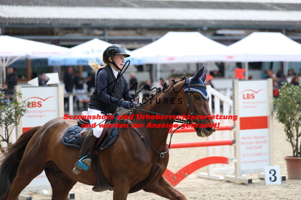 A40A2320 | lmwpictures - Realisiert mit Pictrs.com