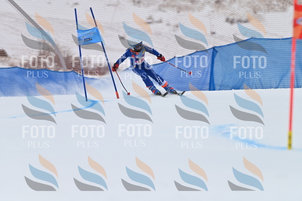 BGV_1231 | holidayphoto