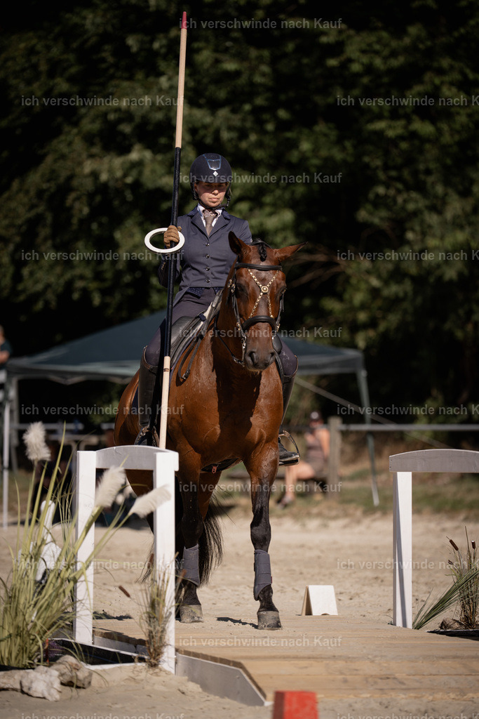 WS_ST_46_stoibphotography_SO11808 | working equitationturnier fotograf videograf stoibphotography marixx film working equitation deutschland reitsport turnierfotografie eventfotografie equestrian events