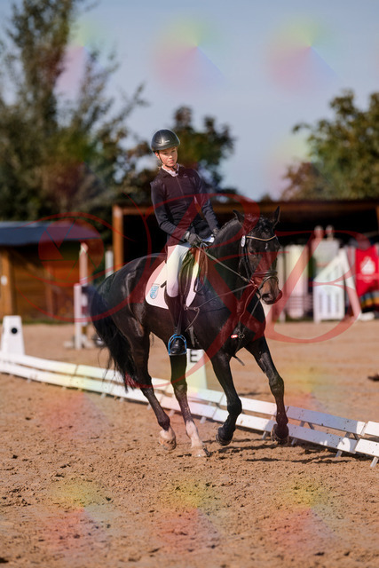 2026_10_03_Siefer-Hof_115749_Z81_98892031 | Professionelle Reitsport-, Turnier- und Eventfotografie von Robert Broda. Galerien mit ausgewählten und bearbeiteten Bildern direkt online ansehen und bestellen.