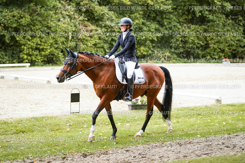 DSC01906 | Pferdegrafie