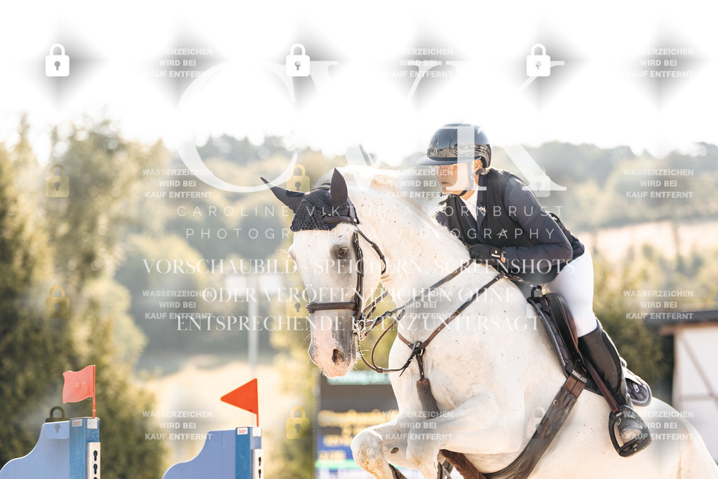 CK901579 | Turnierfotografie Pferdefotografie Trier Rheinland-Pfalz Pferdesport Reitsport Tierfotografie Sportfotografie Pferdevideo Pferdevideografie Equestrianvideography equestrianphotography  - Realisiert mit Pictrs.com