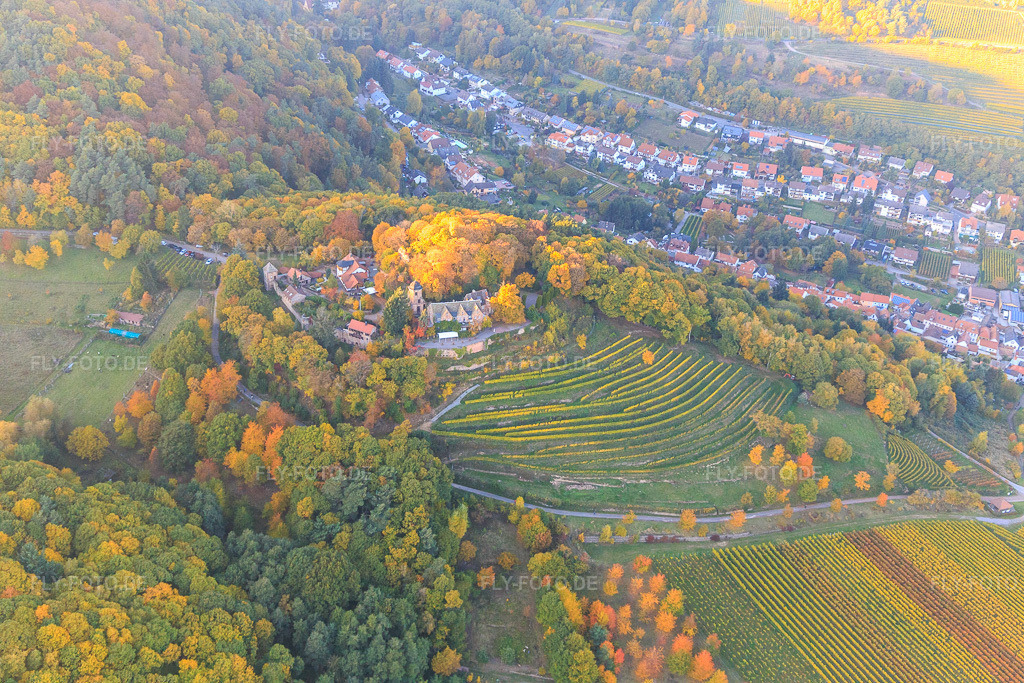 Luftbild: Schloss Kropsburg in Herbstfarben von Süden im Ortsteil SaintMartin in Sankt Martin im Bundesland Rheinland-Pfalz in Deutschland.Foto: IMG_095650.jpg vom 30.10.2016 durch Werner Riehm/FLY-FOTO.deHier entsteht eine neueÜber uns - burgschaenke-kropsburgs Webseite!
