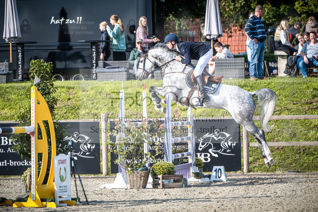 DOS_5652 | Entdecke hochwertige Reitturnierfotos von Foto Oger. Professionell, emotional und authentisch – jetzt Lieblingsmomente im Shop bestellen. - Realisiert mit Pictrs.com