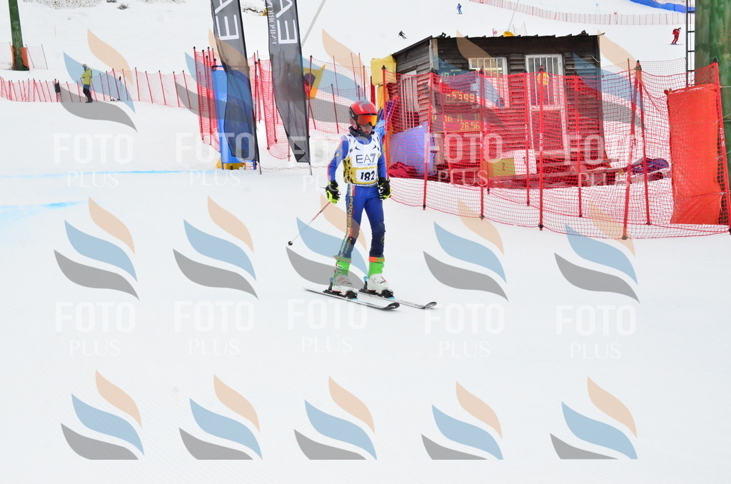 _ELE3961 | holidayphoto