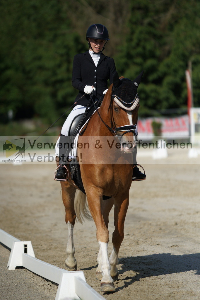 DSC04445 | equestrian-live-com