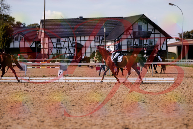 2026_10_03_Siefer-Hof_133145_Z81_86300771 | Professionelle Reitsport-, Turnier- und Eventfotografie von Robert Broda. Galerien mit ausgewählten und bearbeiteten Bildern direkt online ansehen und bestellen.