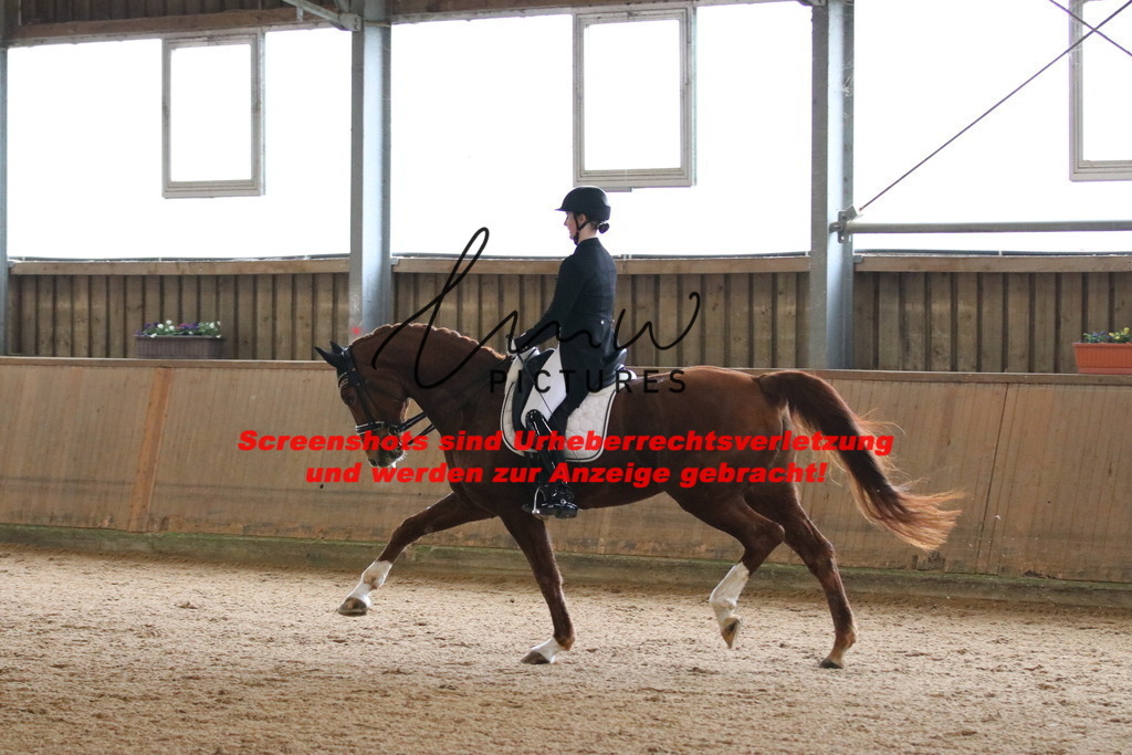 IMG_0795 | lmwpictures - Realisiert mit Pictrs.com