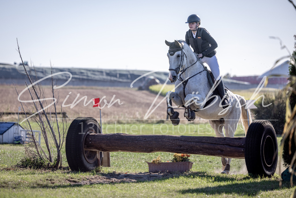 20260906-_3LI1546 | Tierfotografie Pferde, Hunde, Katzen, Haustiere.
Turnierfotografie Reitturniere, Reiten, Springreiten, Dressur in Hanau, dem Main-Kinzig-Kreis und dem Rhein-Main- Gebiet um Frankfurt
