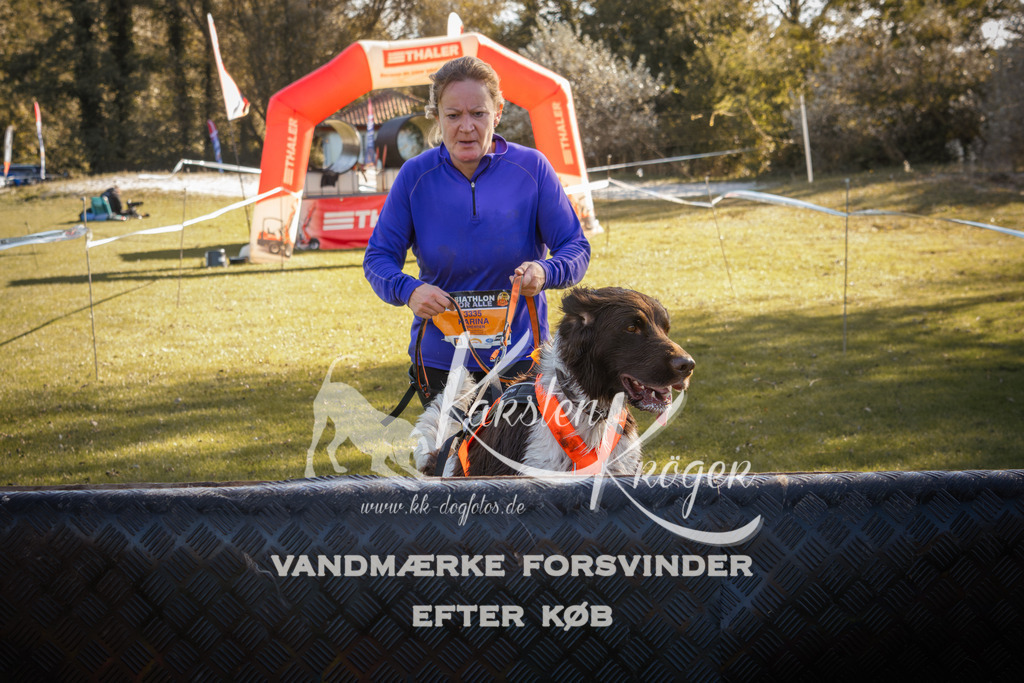 1225_ZZ96138 | kk-dogfotos