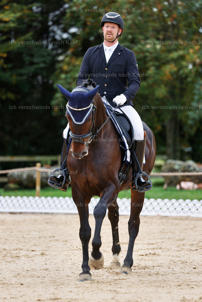02-053-DRESSUR L_  -StoibPH-4696 | working equitationturnier fotograf videograf stoibphotography marixx film working equitation deutschland reitsport turnierfotografie eventfotografie equestrian events