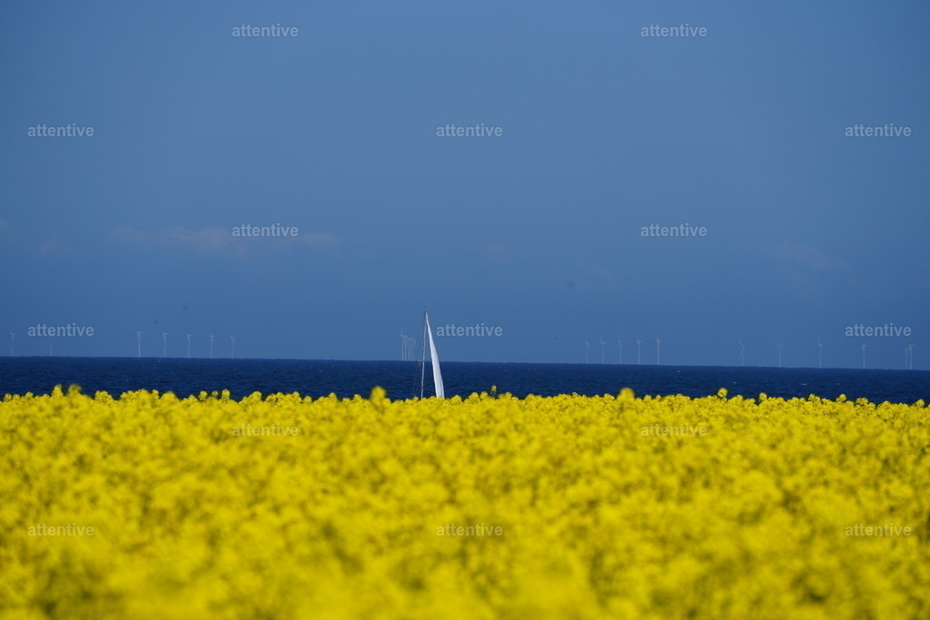 Segel | Gebiet um Leuchtturm Staberhuk, Fehmarn, Deutschland - Realisiert mit Pictrs.com